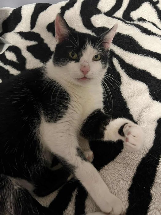 DOM potrzeby na JUŻ!