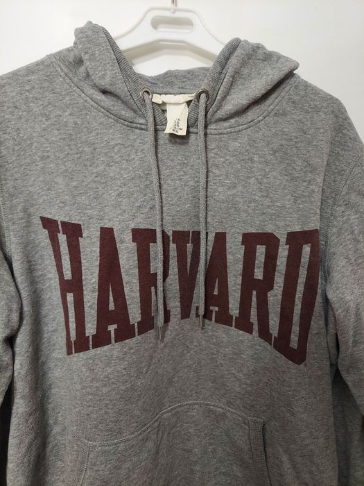 Bluza szara z długim rękawem Harvard H&M plus size EU XL