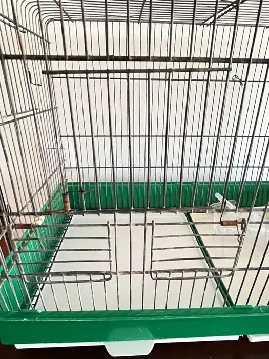 Viveiro para Reabilitação de Animais de Pequeno Porte ou Aves Vintage