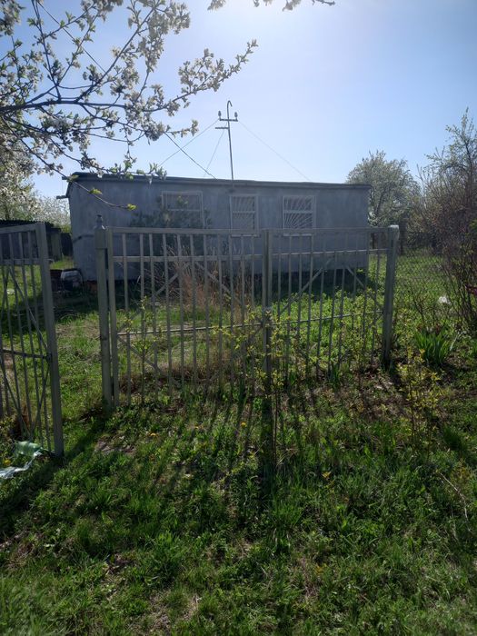 Дача с.Грузевиця(Вишневий сад)