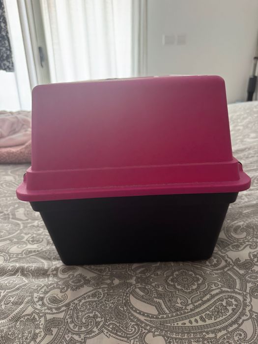 Transportadora pata Gatos