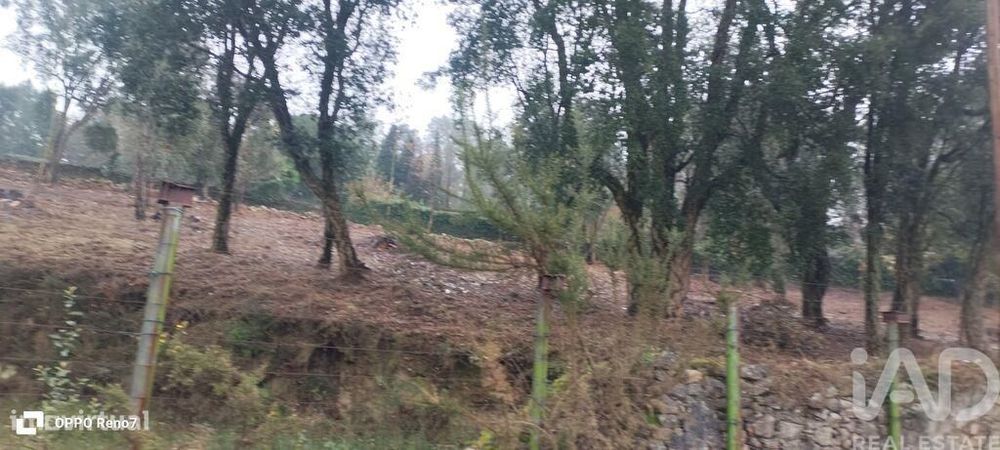 Terreno em Fornelo e Vairão