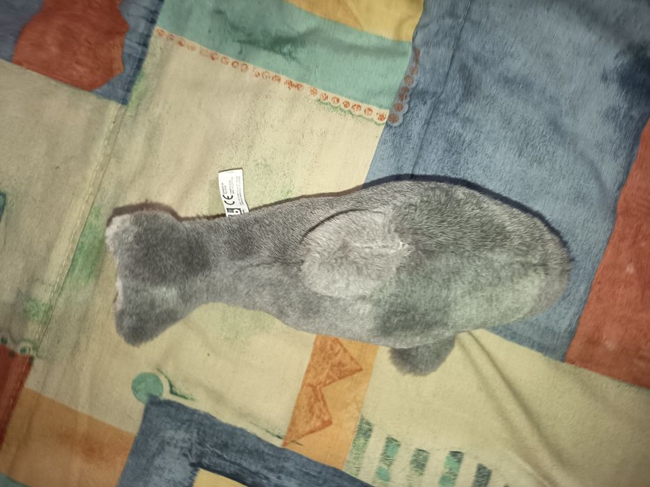 Peluche baleia cinzenta