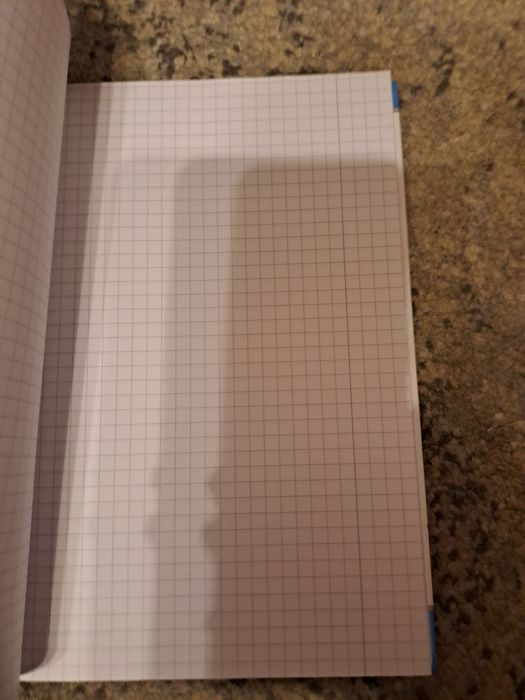 #152 Zeszyt, 96, kratka, crazy cat