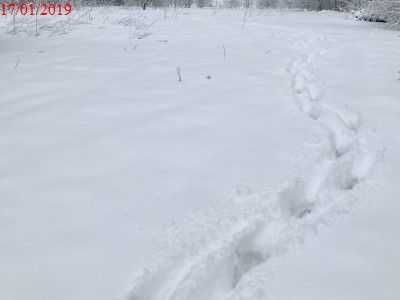 Продаж земельної ділянки (25 сот.) с.Орявчик Львівська обл. 29500$