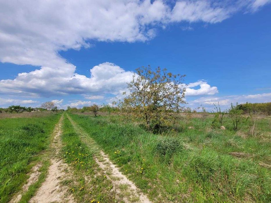 Земельна ділянка під будівництво в Колодіїівці.