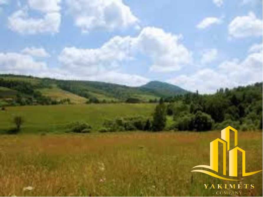 Продаж земельної ділянки 17.81 сот., Буковинка, Львівська обл.