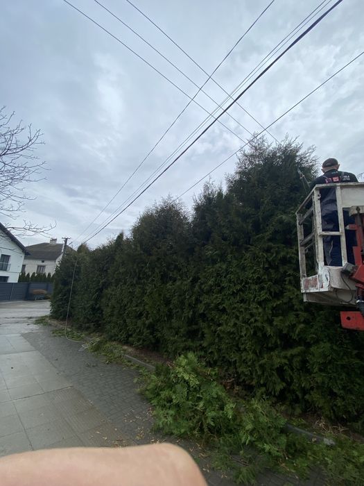 Зрізання дерев будь якої складності