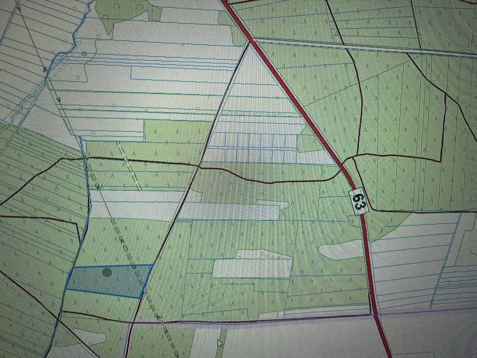 REZERWACJA Sprzedam las sosnowy