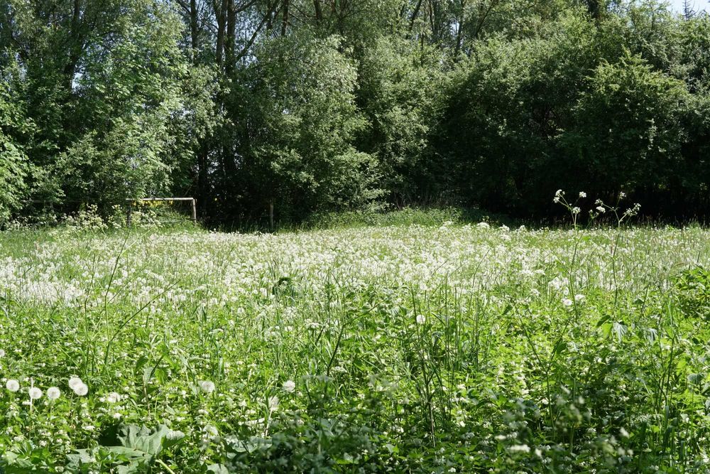 Działka na wsi pod budowę domu