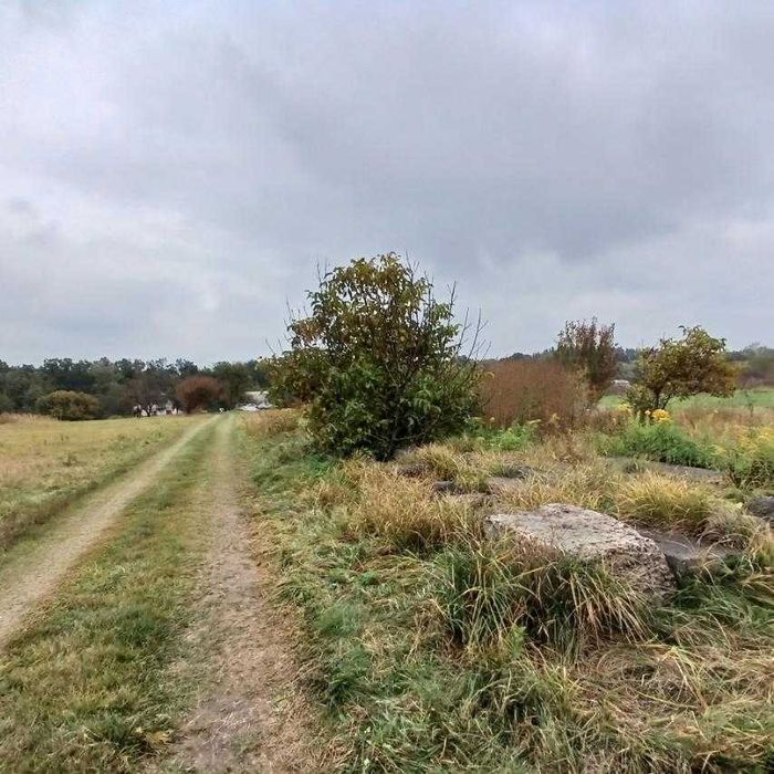 Земельна ділянка, 10,32, с. Крушинка, під забудову