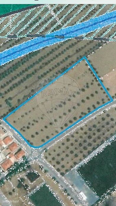 Terreno  para venda — Reguengos de Monsaraz, Évora