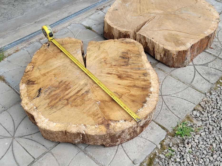 Duże plastry dębu sezonowane 6 lat – blat na stół, stolik, ławę – grubość ok. 15 cm