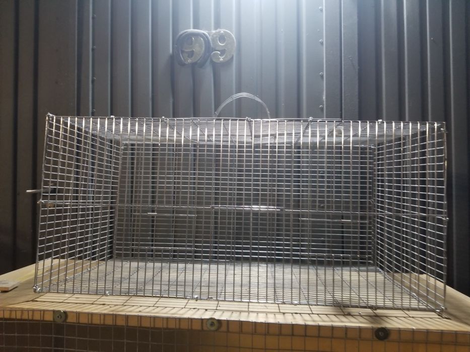 Gaiola para aves de bico curvo