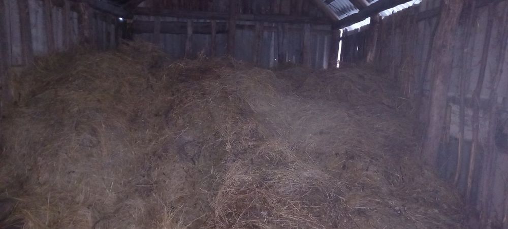 Сіно різнотрав 2023р укіс