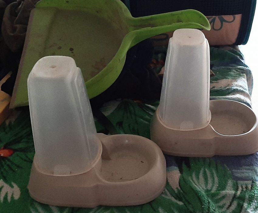 Bebedouros para animais