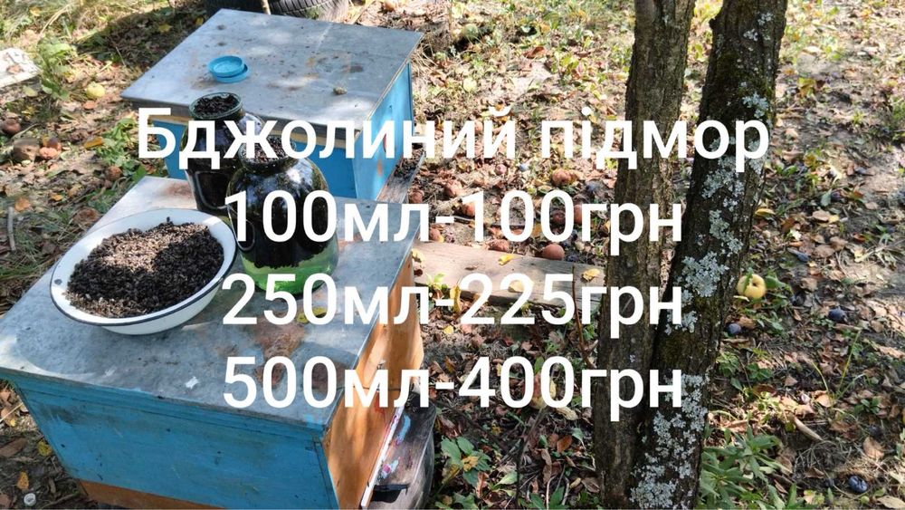 Пжвм,воскова моль,бджолиний підмор,перга