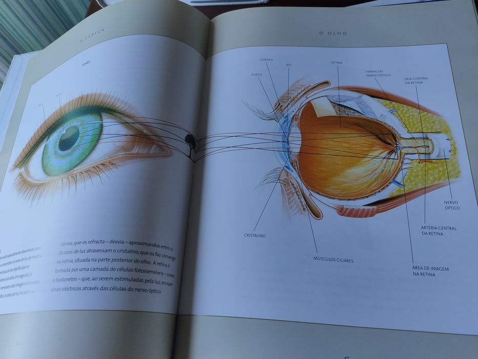 2 volumes encadernados da coleção Atlas do Corpo humano
