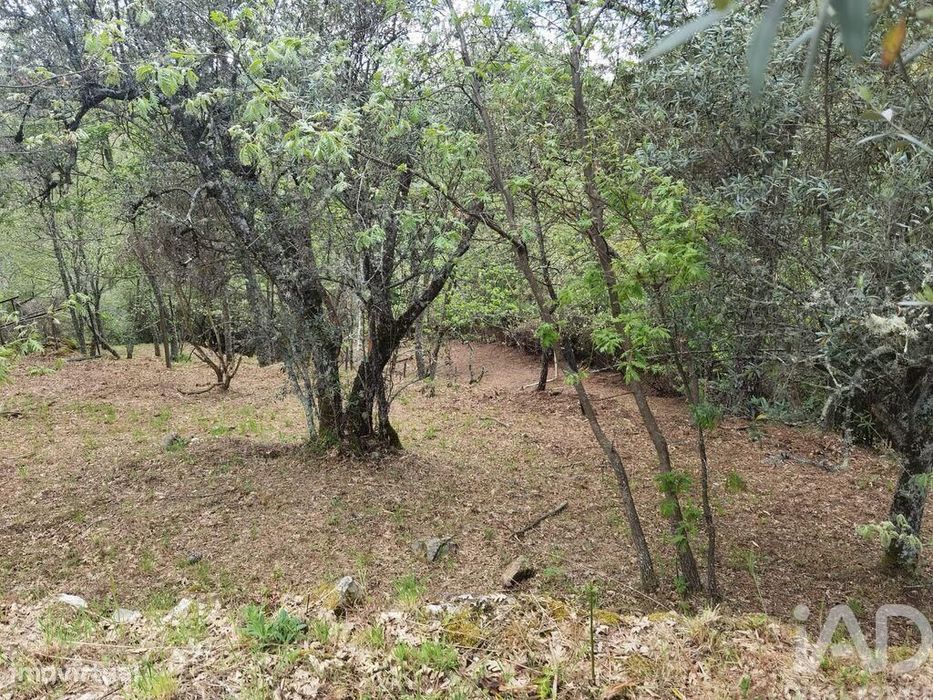 Casa de Campo em Aldeias e Mangualde da Serra de 40,00 m2