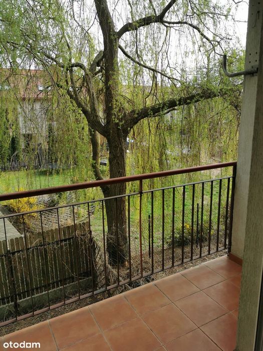 1-Pok, Parking, Balkon, Bezpośrednio