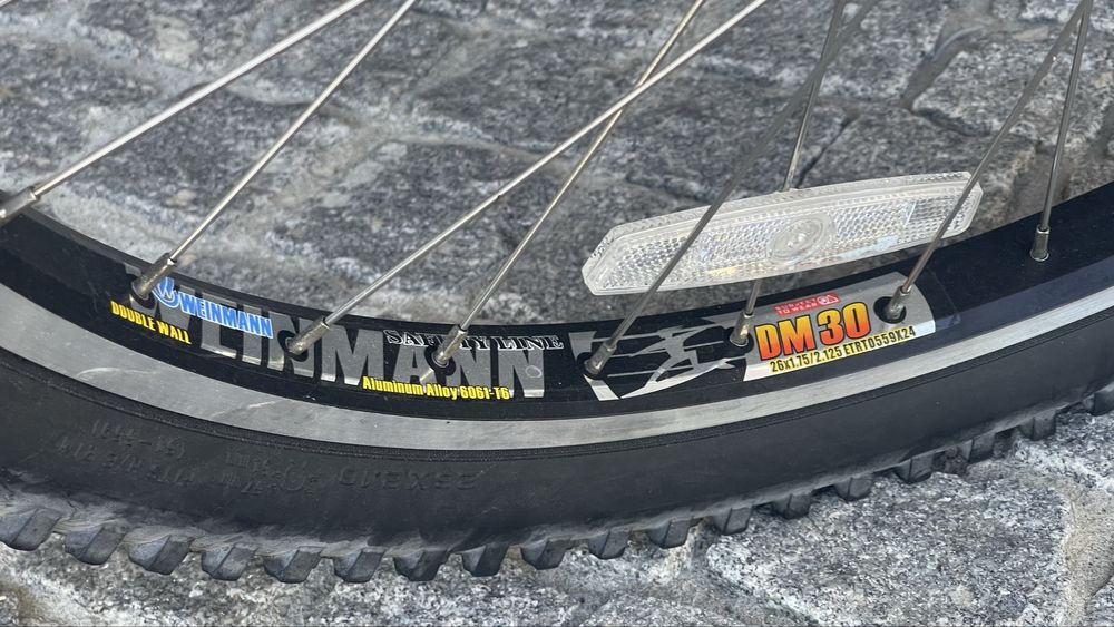Bicicleta Cross Country Berg Dirt Pro 602 impecável (rara)