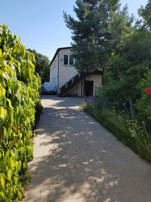 Lokal lokale użytkowe całe piętro 100m kw  do wynajęcia biuro   usługi itp