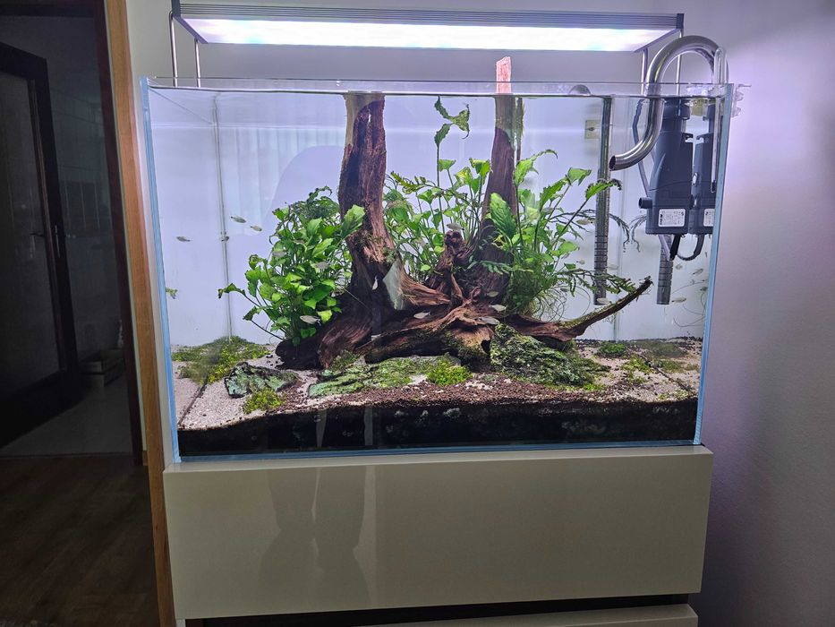 Aquário completo