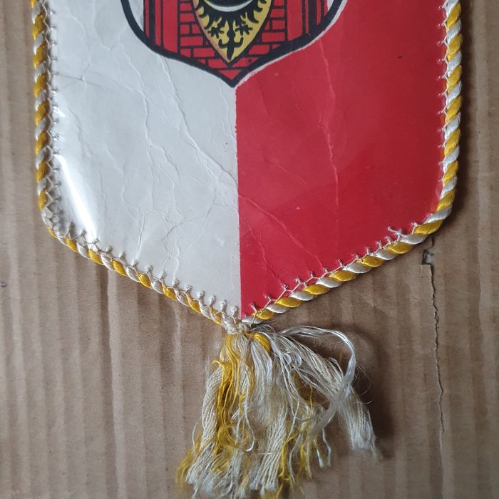 Proporczyk ZKS Pogoń Świebodzin (OK)