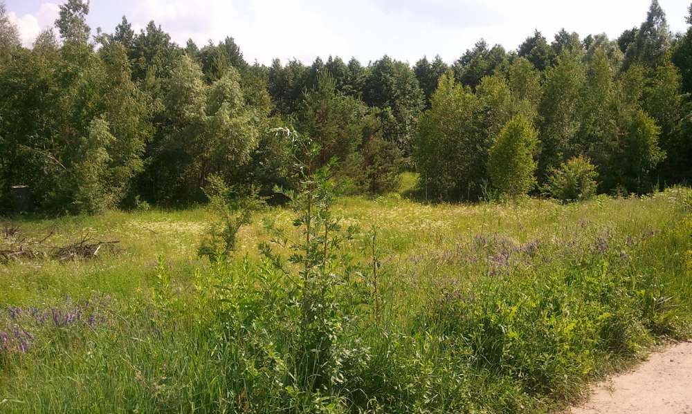 Продам свой участок 12 соток в живописном месте