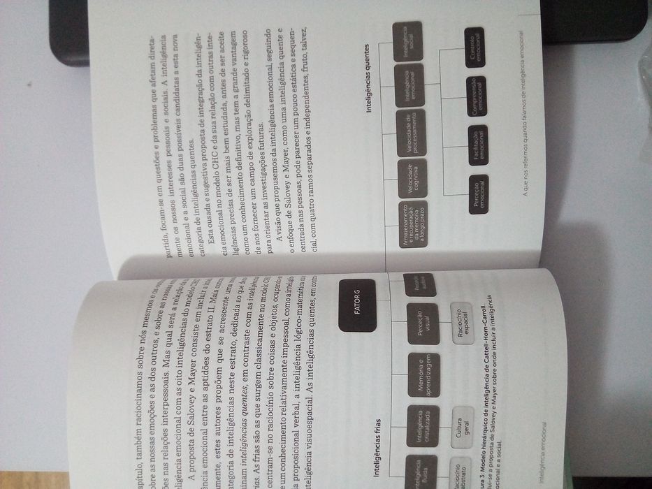 Livro Inteligência Emocional. Auto Ajuda