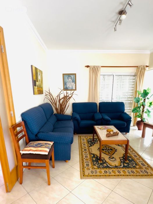 móveis de madeira intactos