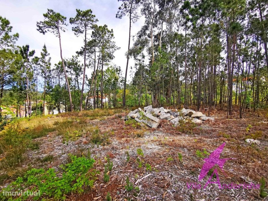 Terreno em Nogueira com vista desafogada