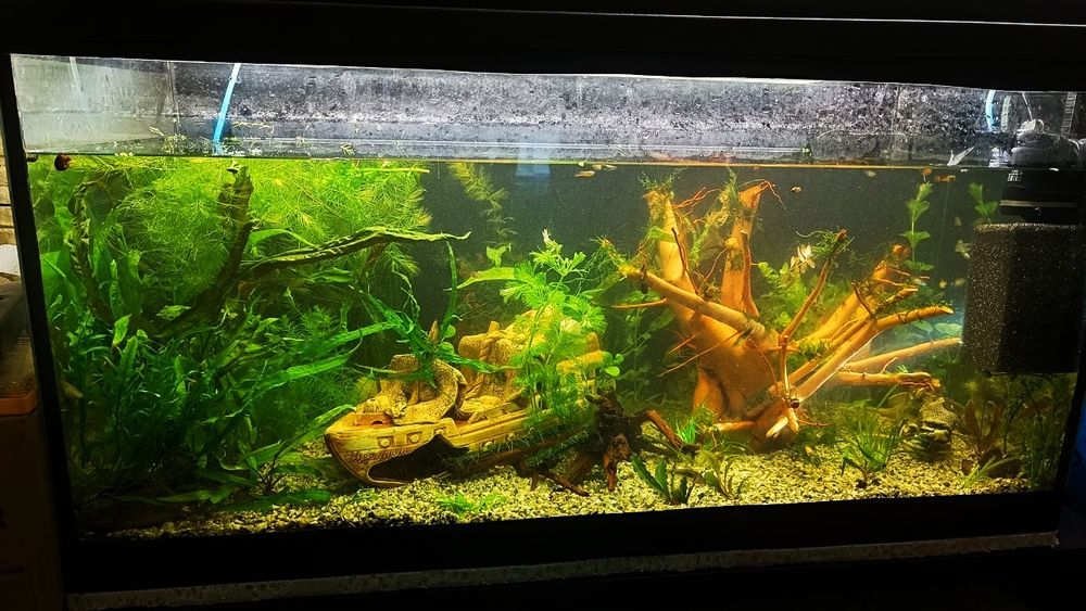 Аквариум 200литров