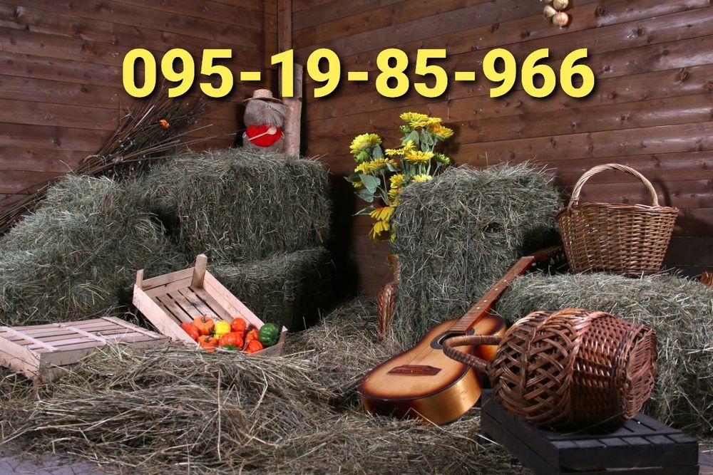 СОЛОМА  С ДОСТАВКОЙ ОТ 1 ШТ в тюках мешках. Декор, подстилка, корм.