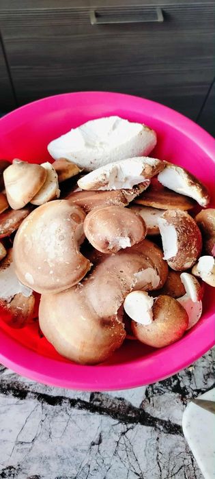 Bialoporek brzozowy 50 g