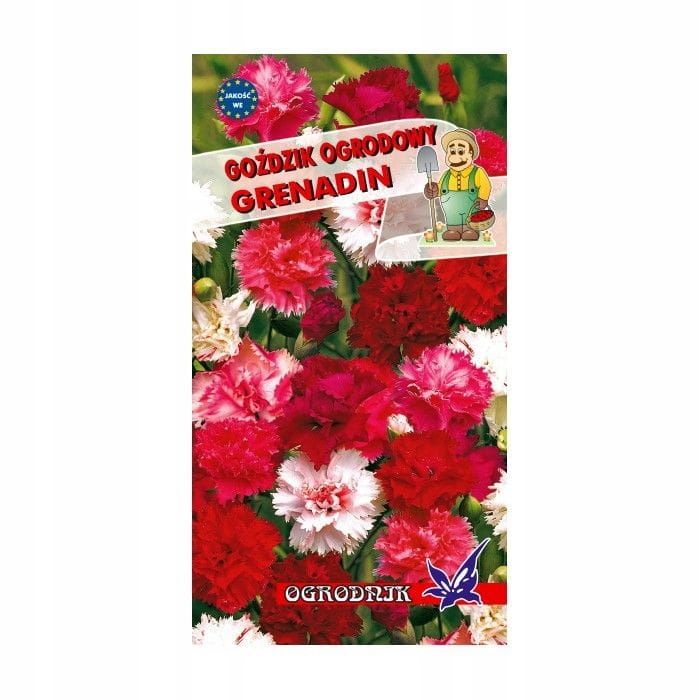 Goździk ogrodowy Grenadin 0,5g / O /