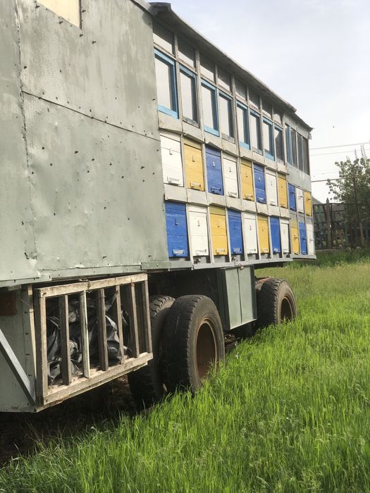 Бджолопавільйон з документами