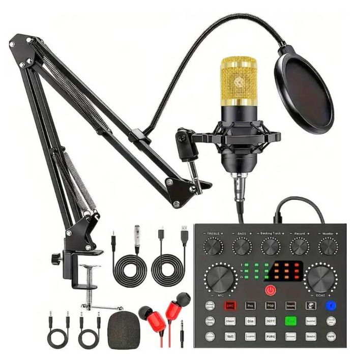 Microfone e Placa de Som Profissional