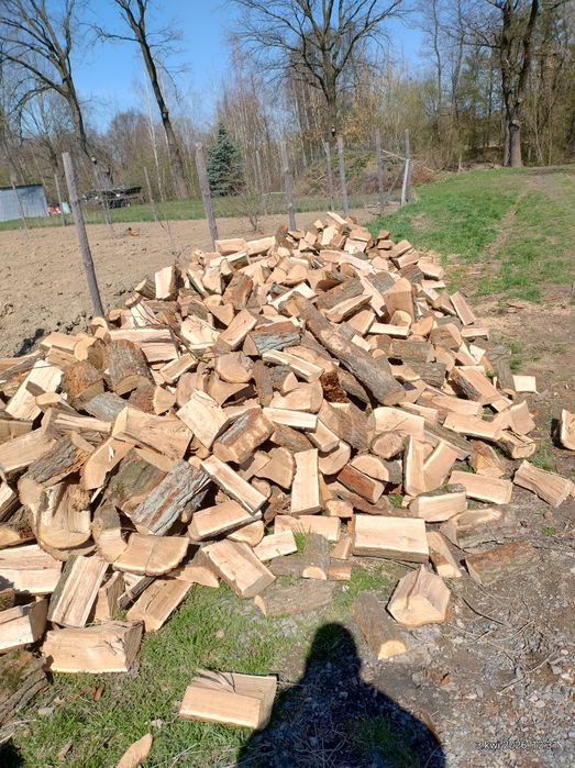 Sprzedam drewno opałowe dębowe.