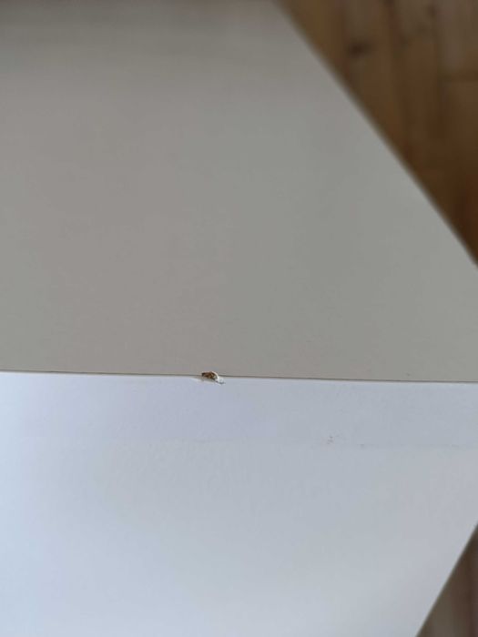 Stolik kawowy sonoma