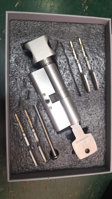 Личинки дверного замка