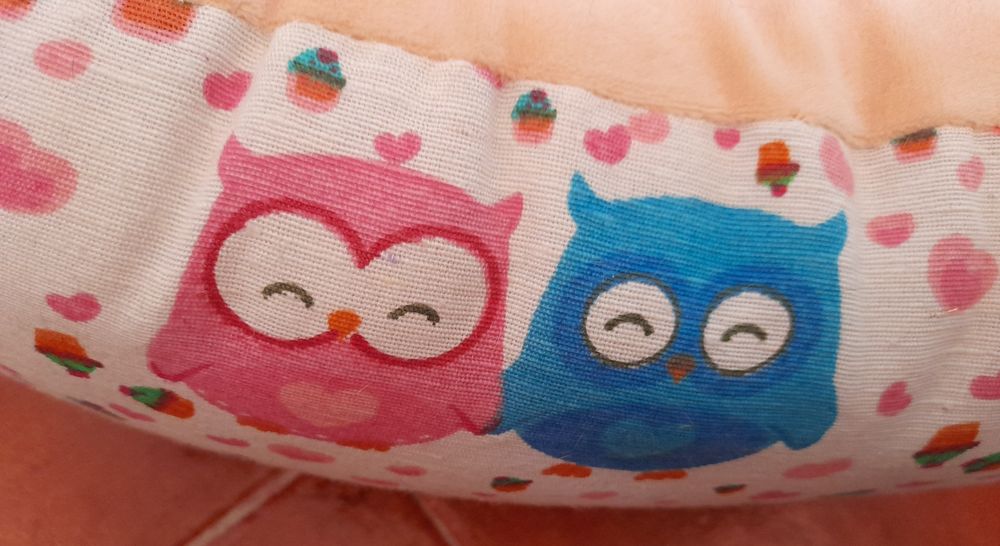 - Caminha para animal -