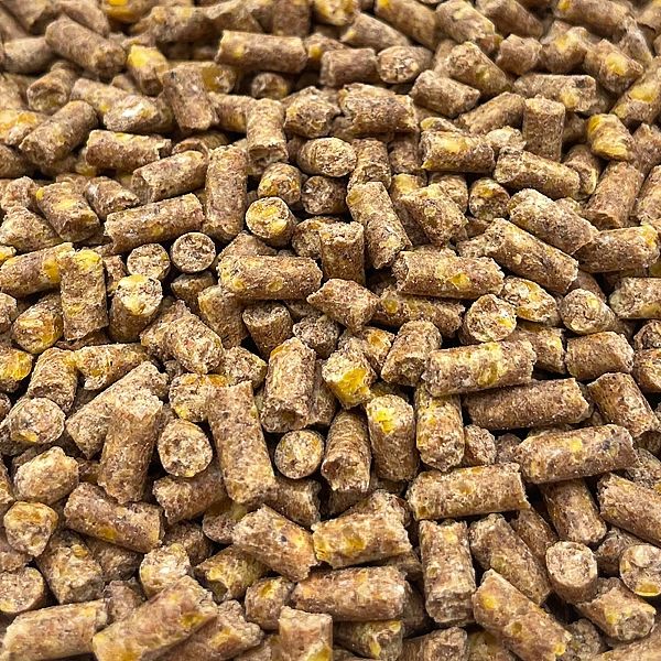 Pellet zanętowy wędkarski 4,5kg 4mm CIASTKO-KUKURYDZA zanęta na karpia
