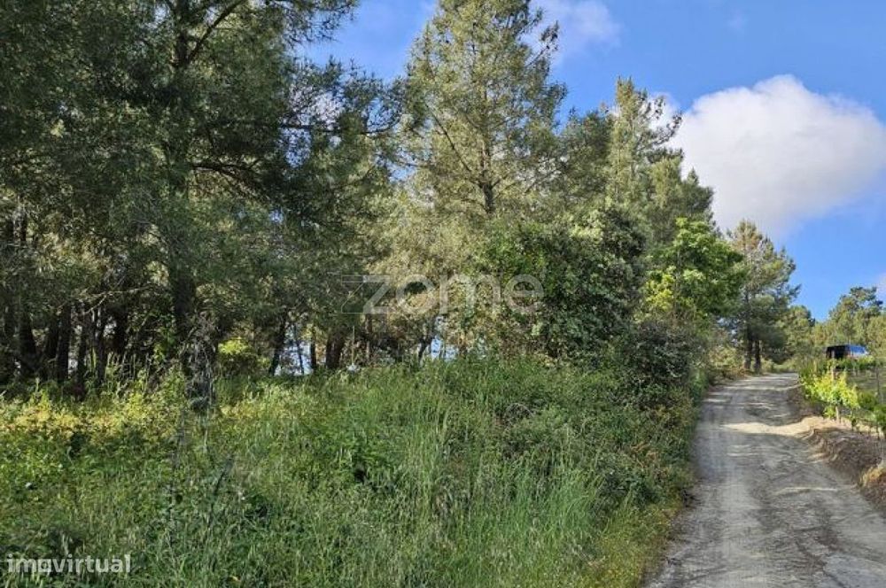 Terreno, Favaios