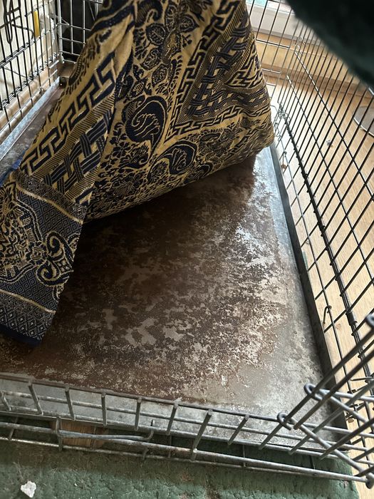 Клітка металева розкладна вольер для собак велика