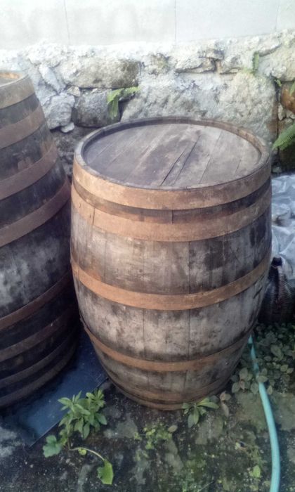Barris de vinho em madeira