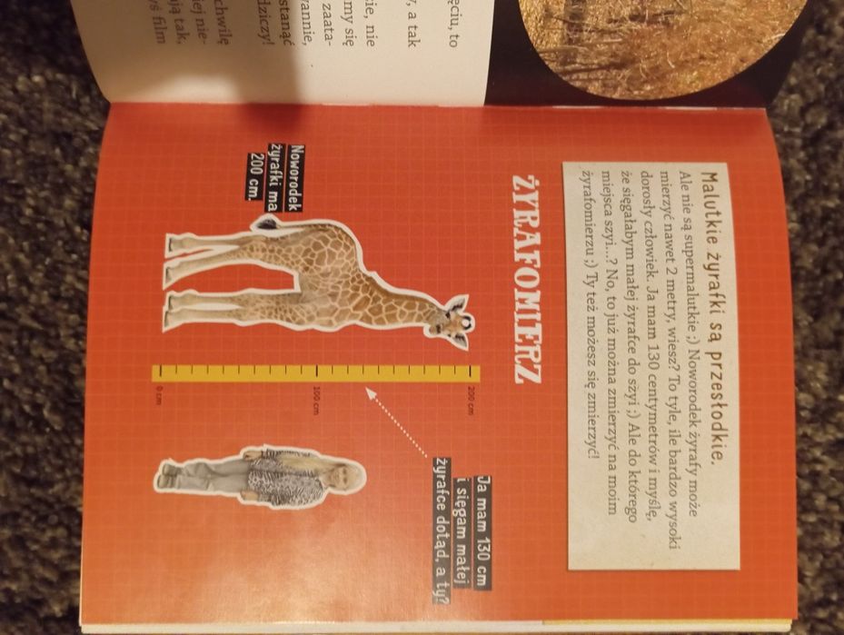 Nela na 3 kontynentach Podróże w nieznane