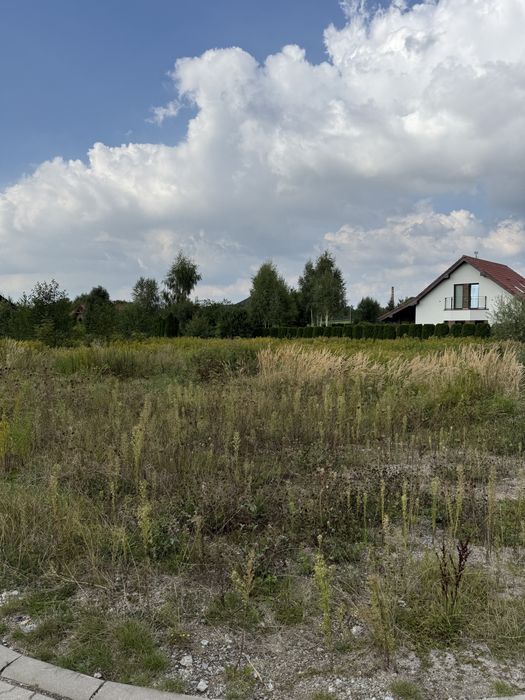 Czyszczenie Działek•Karczowanie•Koszenie•Mulczowanie• Legnica• Lubin