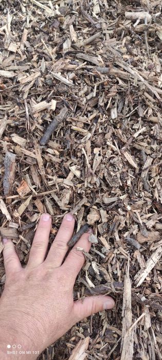 Zrębka / Trociny / Kora sosnowa