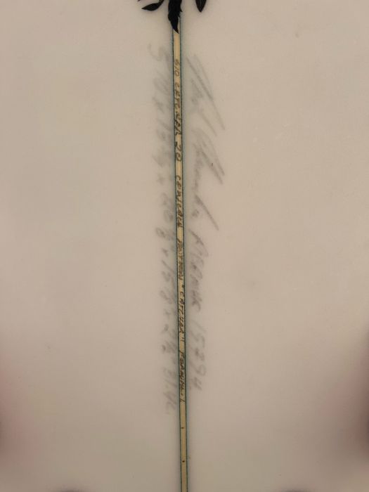 Prancha Semente Catcher 5’10 - 31,4L